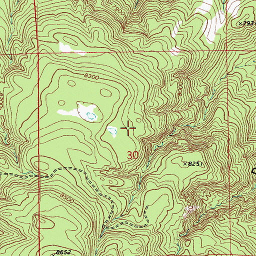 Topographic Map of Lower Trick Tank, AZ