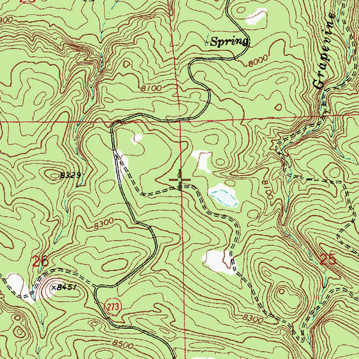 Topographic Map of Wad Spring, AZ