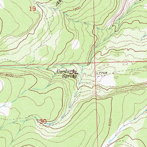 Topographic Map of Corduroy Spring, CO
