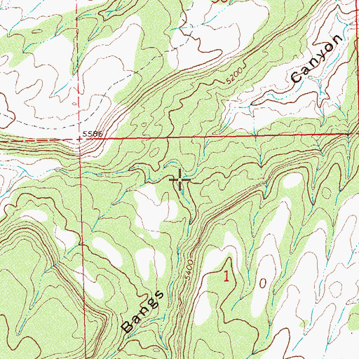 Topographic Map of West Bangs Canyon, CO