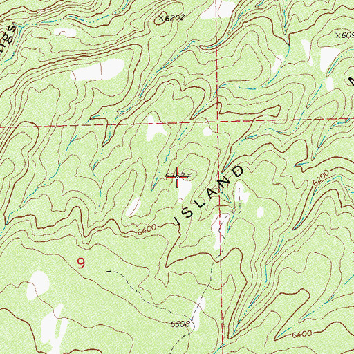 Topographic Map of Island Mesa, CO
