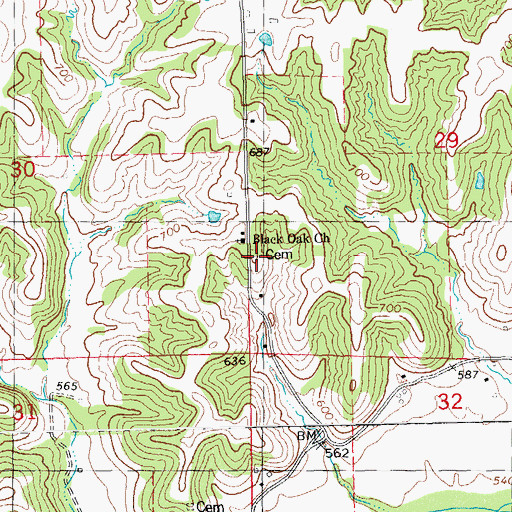 Topographic Map of Black Oak Cemetery, IL