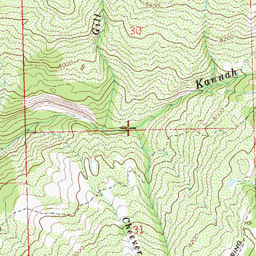 Topographic Map of Cottonwood Creek, CO