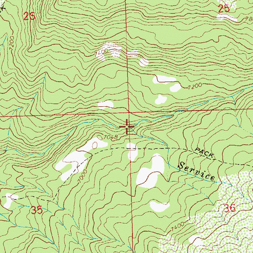 Topographic Map of Service Creek, CO