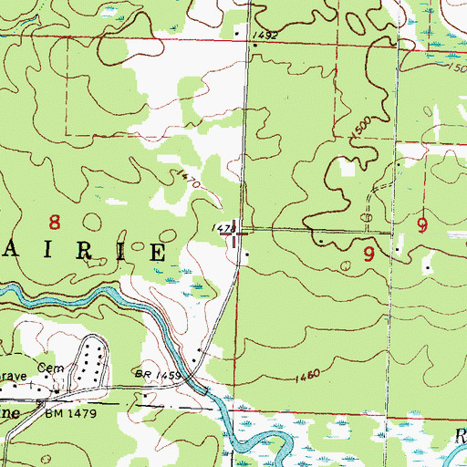 Topographic Map of Rice Lake, MN