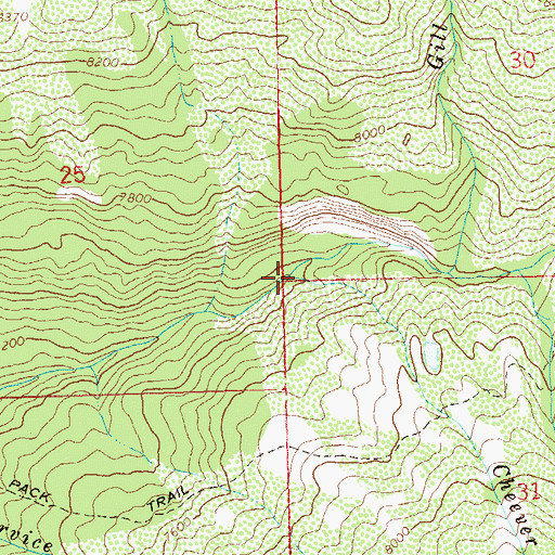 Topographic Map of Cheever Creek, CO