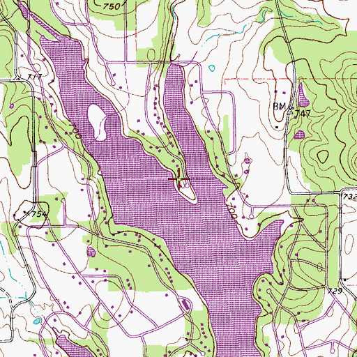 Topographic Map of Lake Kiowa, TX