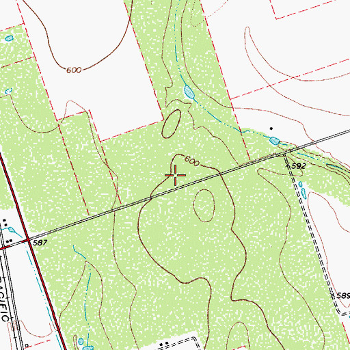Topographic Map of Las Colonias, TX