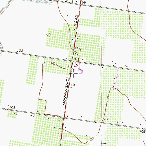 Topographic Map of North Alamo, TX