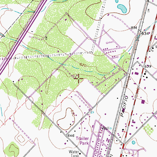 Topographic Map of North Pearsall, TX