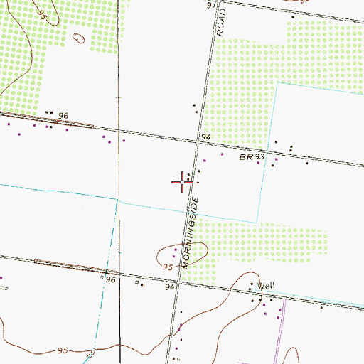 Topographic Map of Nurillo, TX