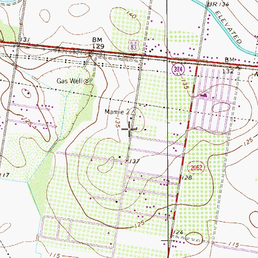 Topographic Map of Palmview South Census Designated Place, TX
