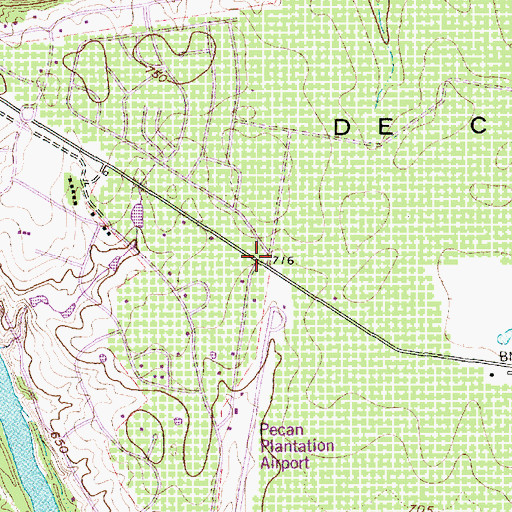 Topographic Map of Pecan Plantation, TX
