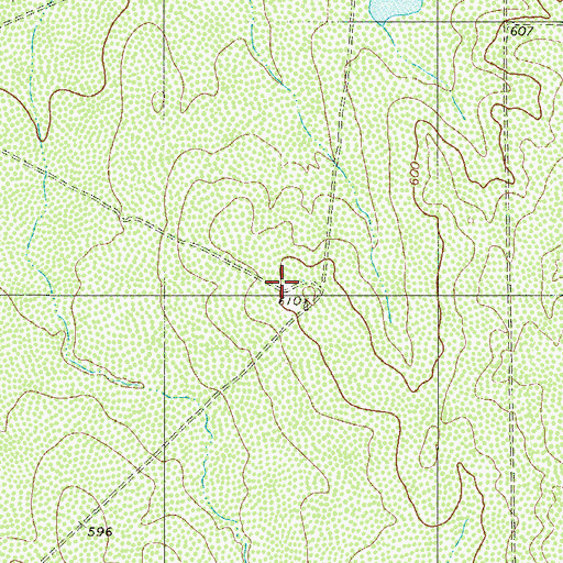 Topographic Map of Ranchitos Las Lomas, TX