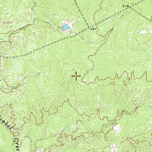 Topographic Map of Ranchos Penitas West, TX