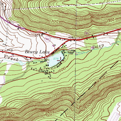 Topographic Map of Beurys Lake, PA