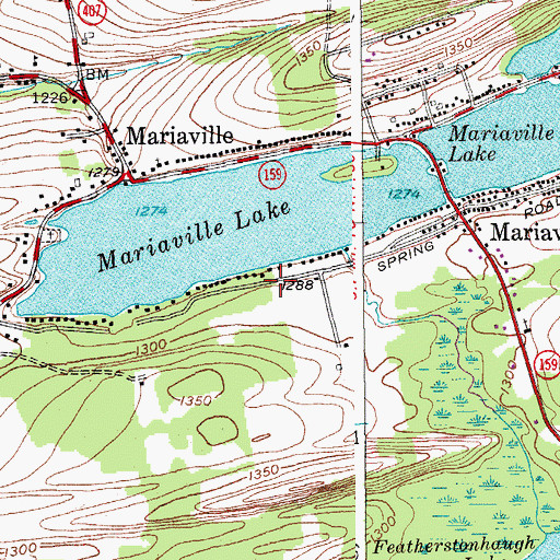 Topographic Map of Mariaville Lake, NY