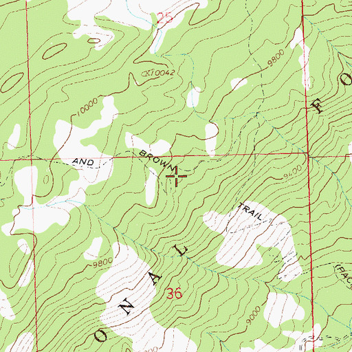 Topographic Map of Bull and Brown Trail, CO
