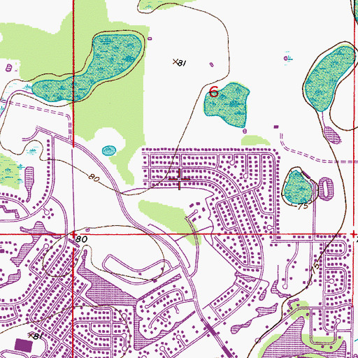 Topographic Map of Buenaventura Lakes, FL