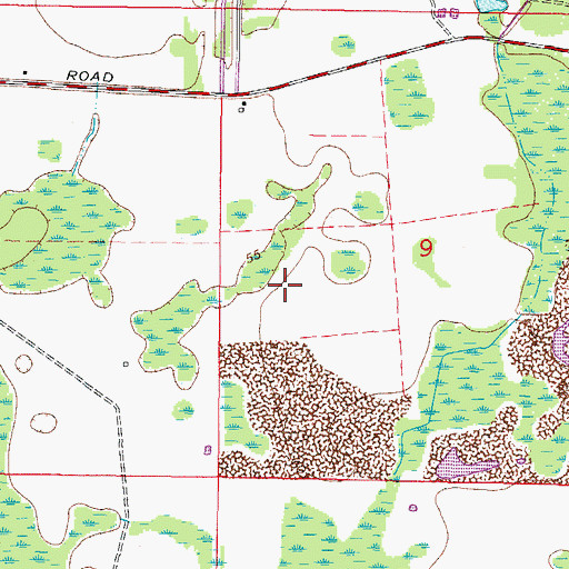 Topographic Map of Cheval, FL