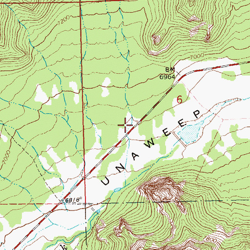 Topographic Map of Mayflower Gulch, CO