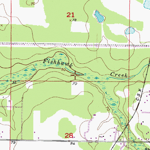 Topographic Map of Fish Hawk, FL