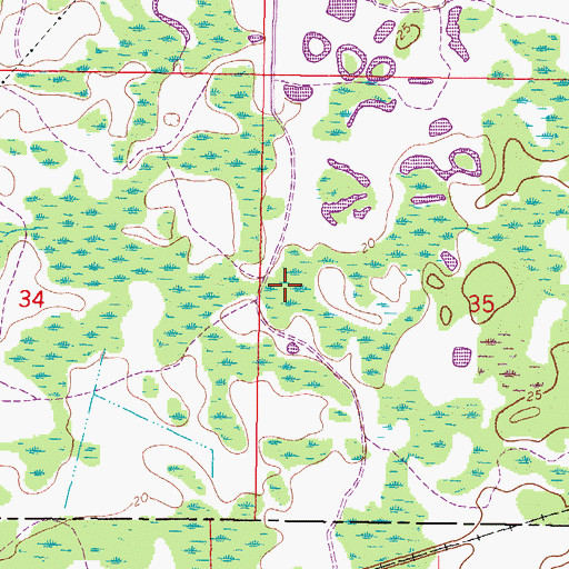 Topographic Map of Trinity, FL