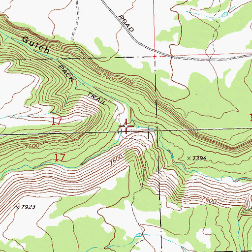 Topographic Map of Rocky Pitch Gulch, CO