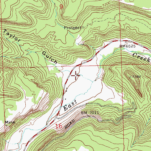 Topographic Map of Taylor Gulch, CO