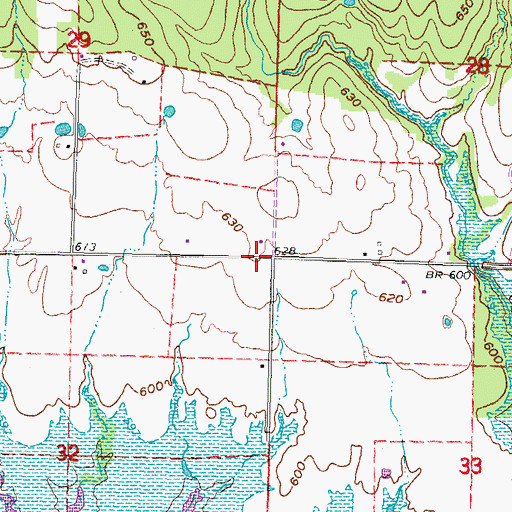 Topographic Map of Duchess Landing, OK