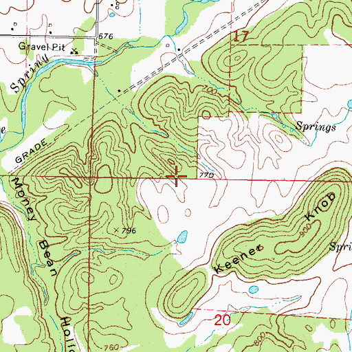 Topographic Map of Shady Grove, OK