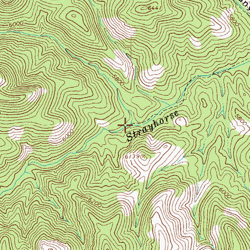 Topographic Map of Little Strayhorse Creek, AZ