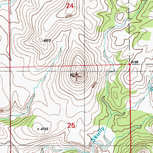 Topographic Map of Mule Mountain, AZ