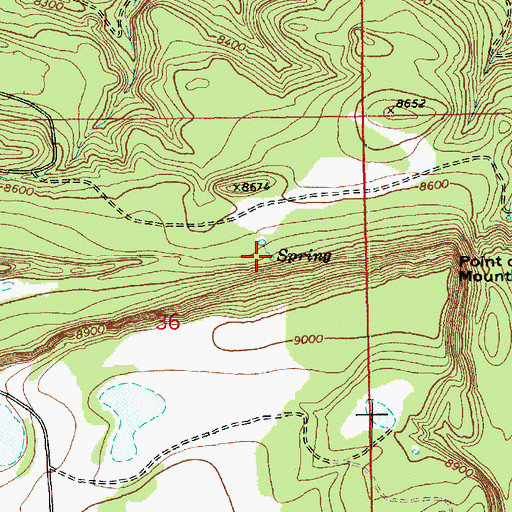 Topographic Map of Rim Creek Spring, AZ