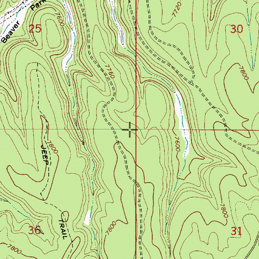 Topographic Map of Rattlesnake Ridge, AZ