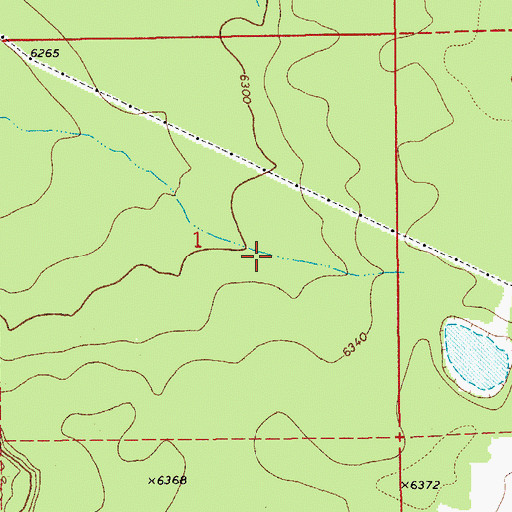Topographic Map of Bosque Mojado, AZ