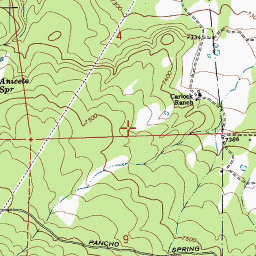 Topographic Map of Lee Spring, AZ
