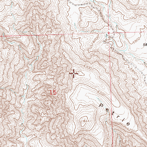 Topographic Map of Petrie Mesa, CO