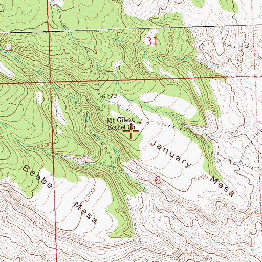 Topographic Map of January Mesa, CO