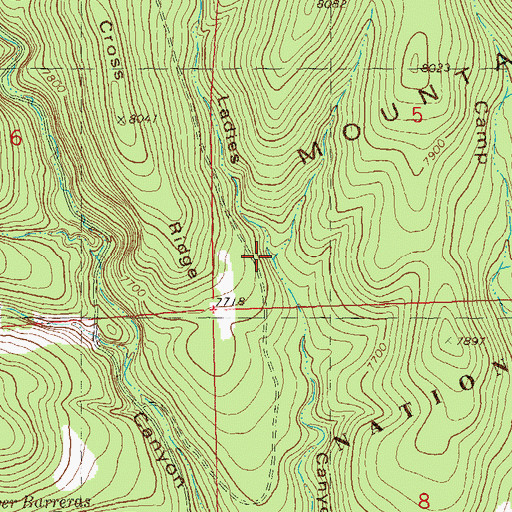 Topographic Map of Ladies Canyon, NM