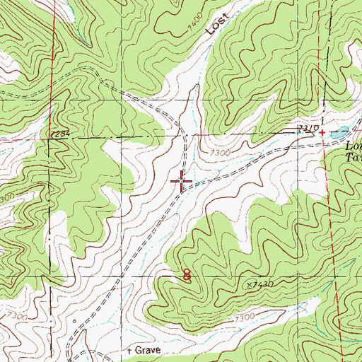 Topographic Map of Lost Chance Canyon, NM