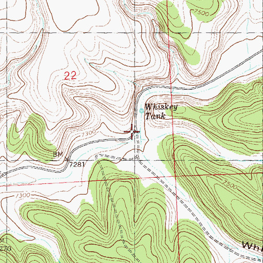 Topographic Map of Whiskey Canyon, NM