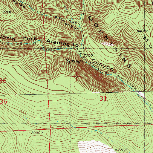 Topographic Map of Spike Canyon, NM
