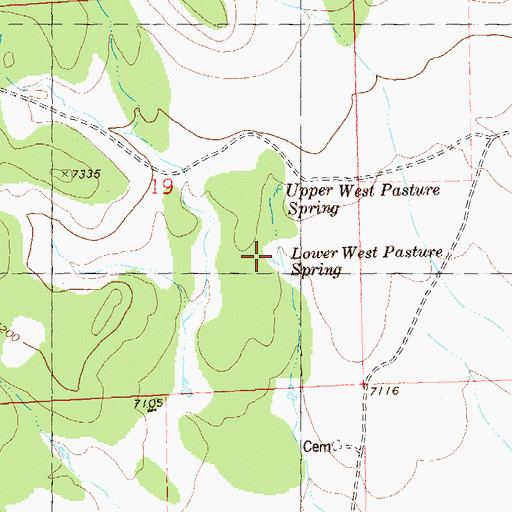 Topographic Map of Lower West Pasture Spring, NM