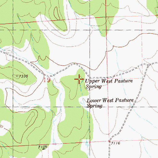 Topographic Map of Upper West Pasture Spring, NM
