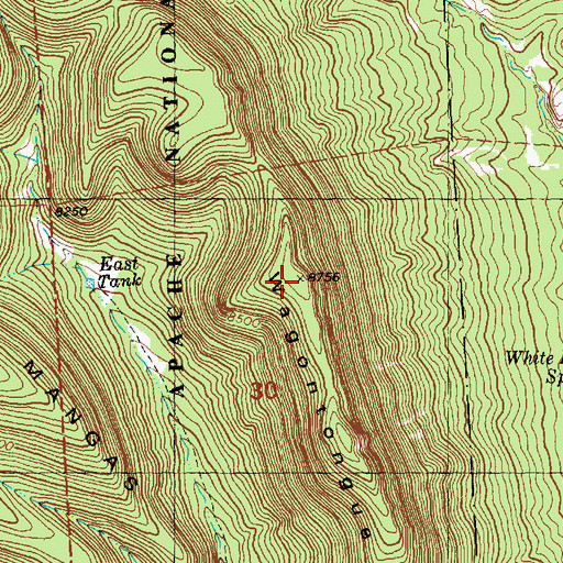 Topographic Map of Wagontongue Mountain, NM