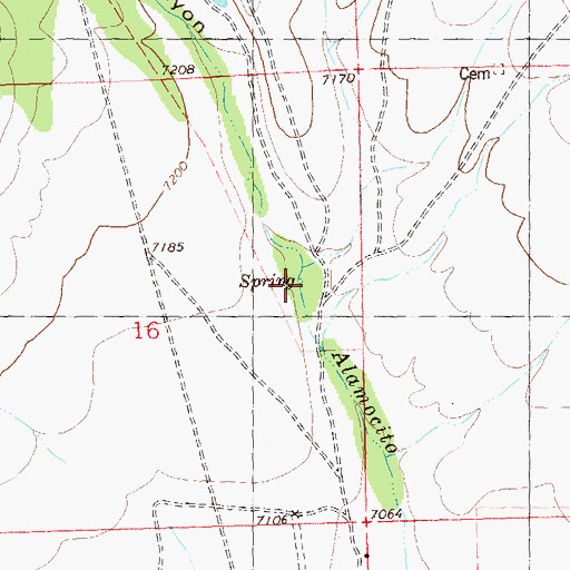 Topographic Map of Alamocito Canyon, NM