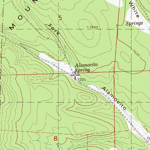 Topographic Map of North Fork Alamocito Canyon, NM