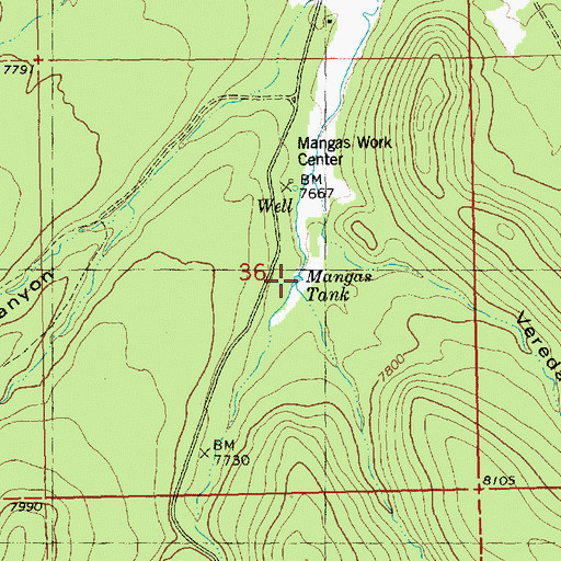 Topographic Map of Mangas Tank, NM
