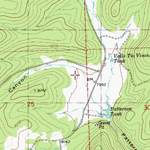 Topographic Map of Caballeriza Canyon, NM